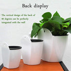Self-watering hanging plant pot – Modern flower pot for wall mounting