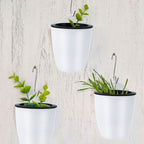 watering flower pot