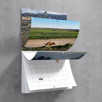 Funniest Calendar-Dogs Pooping in Beautiful Places | "Artistic Expression" of Furry Friends