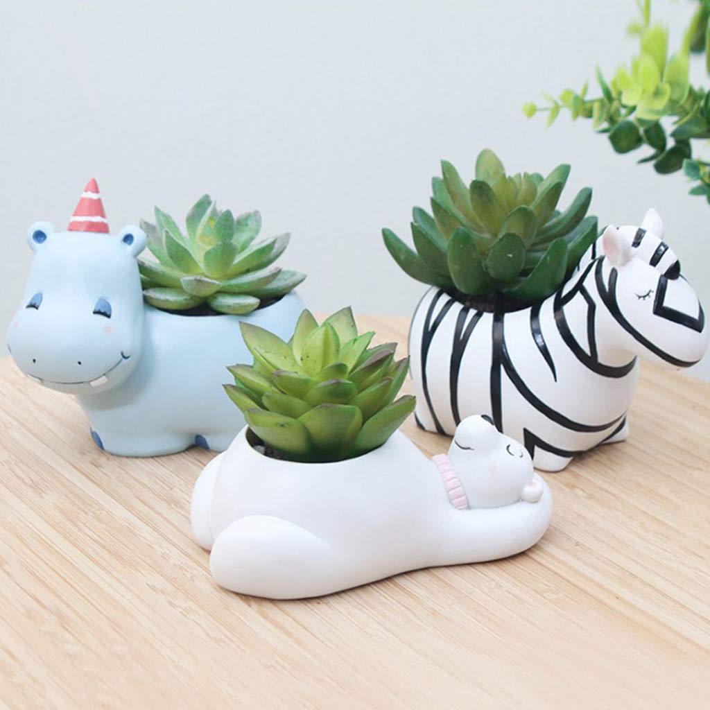 Animal Plant Pots – Funny Animal Designs for Succulents and Cacti