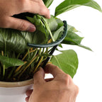Climbing support for plants – Robust holder with cage design for growth and stability