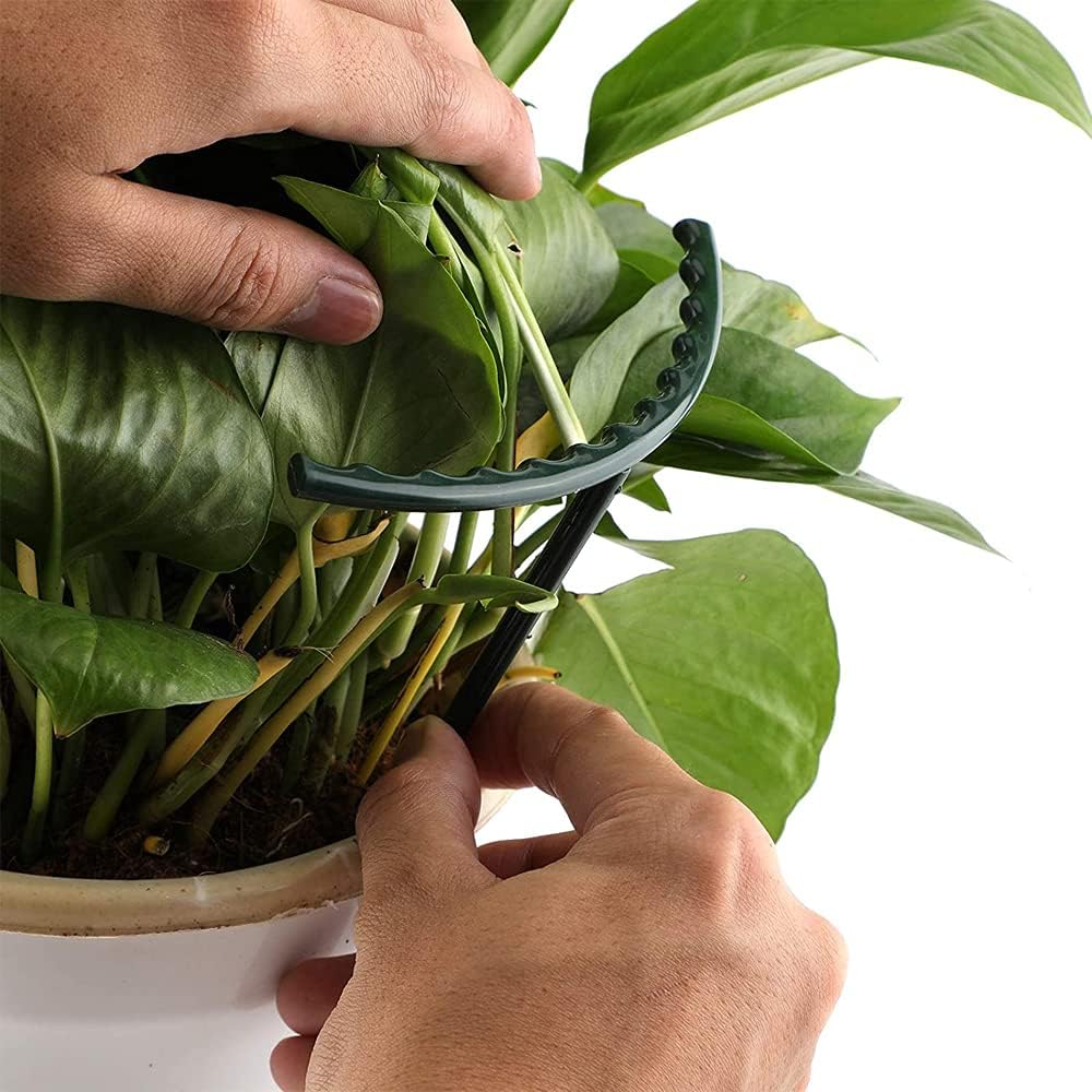 Climbing support for plants – Robust holder with cage design for growth and stability