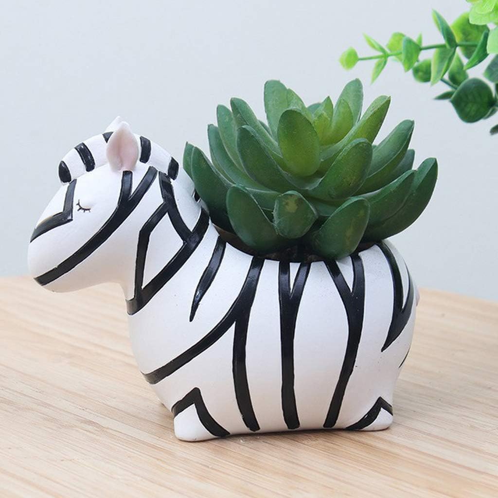 Animal Plant Pots – Funny Animal Designs for Succulents and Cacti