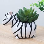 Animal Plant Pots – Funny Animal Designs for Succulents and Cacti