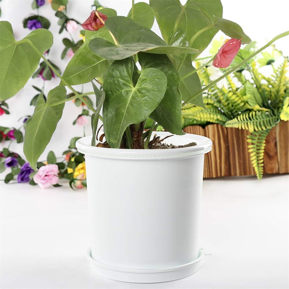 Breathable Root Control Pot for Plants – Ideal for Healthy Growth and Optimal Aeration