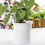 Breathable Root Control Pot for Plants – Ideal for Healthy Growth and Optimal Aeration