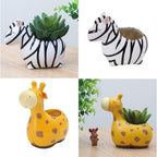 Animal Plant Pots – Funny Animal Designs for Succulents and Cacti