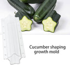 Star shape vegetable mold for cucumbers – Creative mold rail for fruits and vegetables