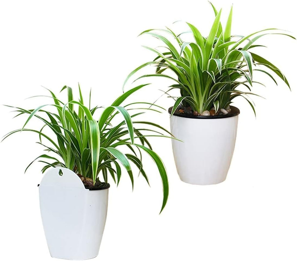 Self-watering hanging plant pot – Modern flower pot for wall mounting
