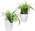 Self-watering hanging plant pot – Modern flower pot for wall mounting