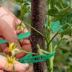 Plant fastening cable tie set for stable securing of plants
