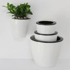 watering flower pot