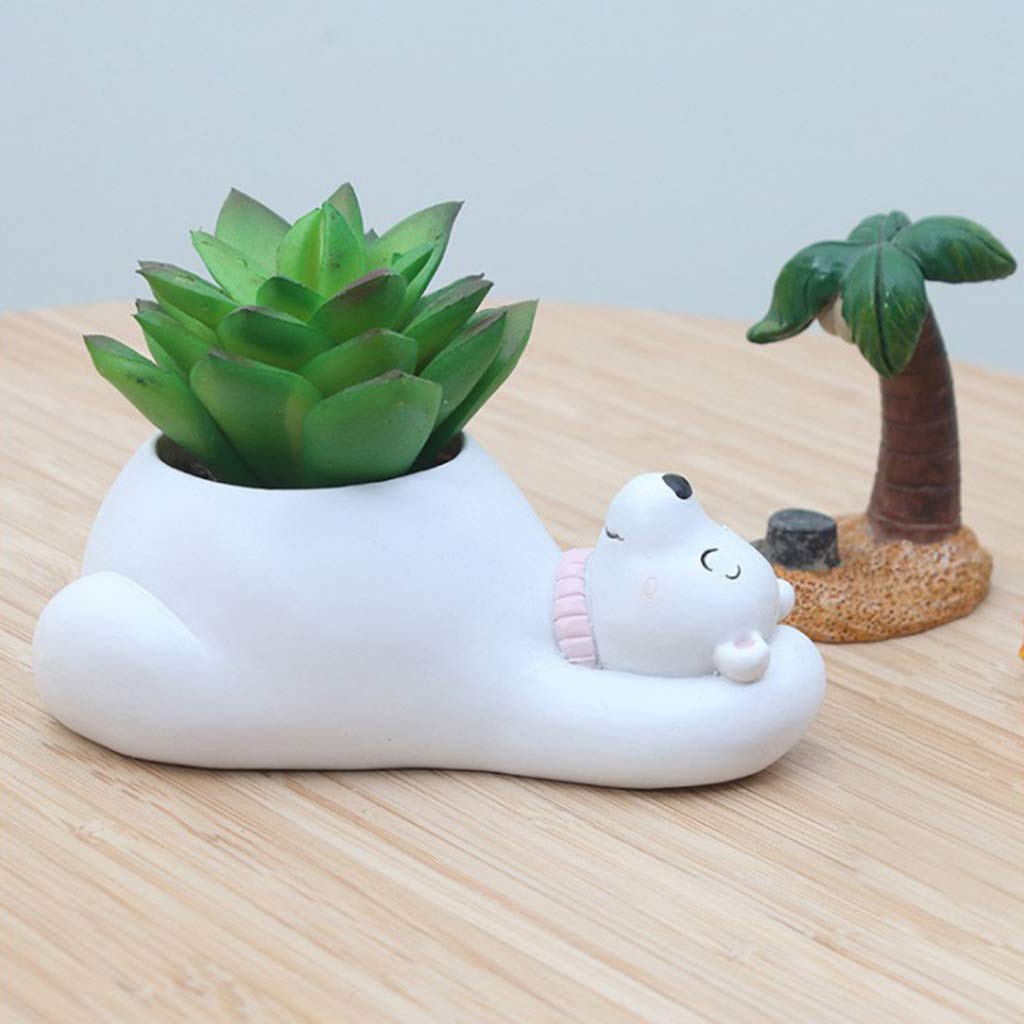 Animal Plant Pots – Funny Animal Designs for Succulents and Cacti