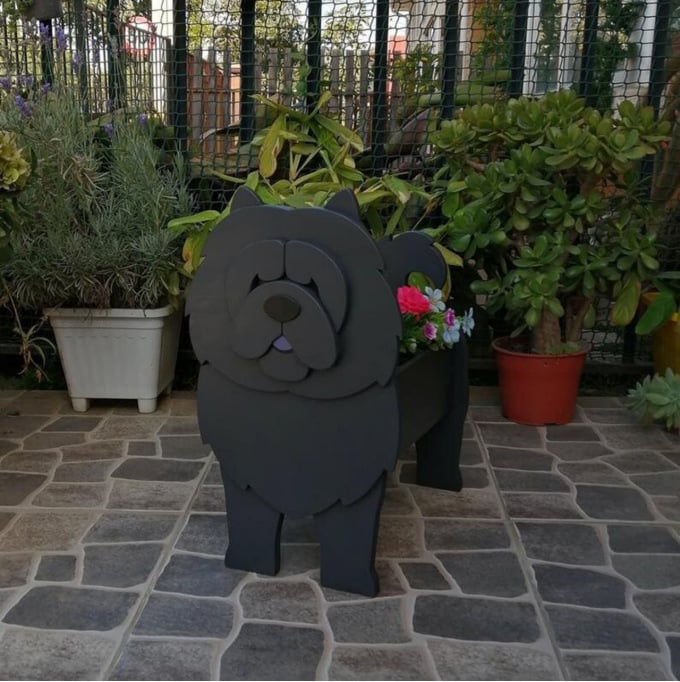 PawPlanter Green Pet Oasis