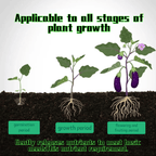 Plant fertilizer sticks – Long lasting fertilizer for healthy growth