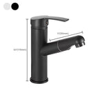 Modern Design Bathroom Faucet Single Lever Mixer with Water Hose