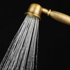 Traditional Handheld Shower Head with Hose Polished Brass Wall Mounted Shower Head