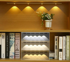 Indoor LED Motion Sensor Lamp