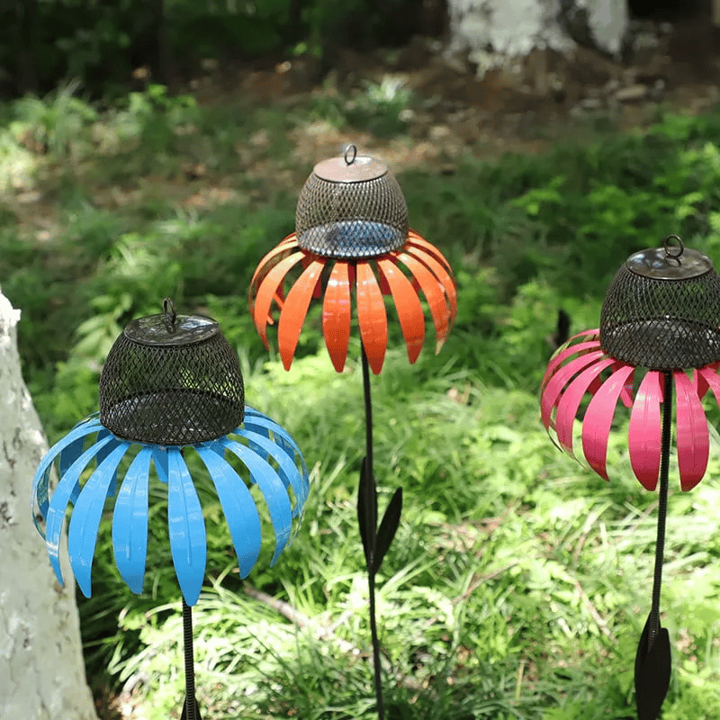 FloraNest Bird Feeder | Enjoy free Coneflowers for a colorful garden