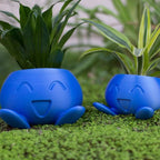 JoyPot – Brighten up any room with a fun, healthy plant showcase