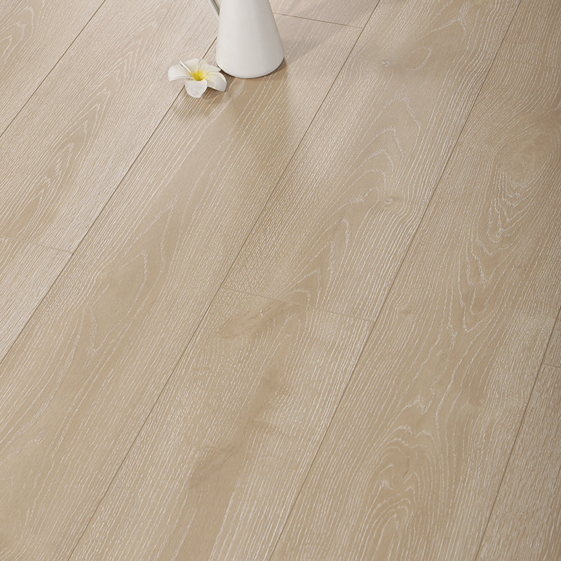 Contemporary Laminate Flooring Light Color Wood Laminate Flooring