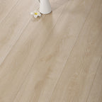 Contemporary Laminate Floor Light Color Wood Laminate Floor