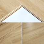 Contemporary Laminate Floor Light Color Wood Laminate Floor