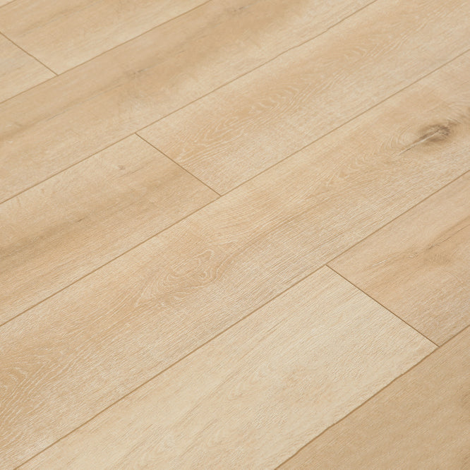 Contemporary Laminate Flooring Light Color Wood Laminate Flooring