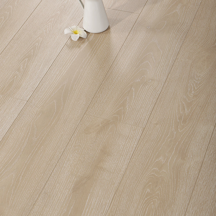 Contemporary Laminate Flooring Light Color Wood Laminate Flooring