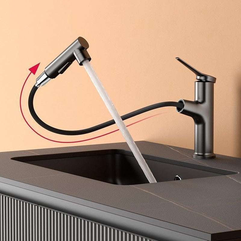 Contemporary Style Faucet Single Lever Mixer with Swivel Spout