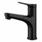 Contemporary Style Faucet Single Lever Mixer with Swivel Spout