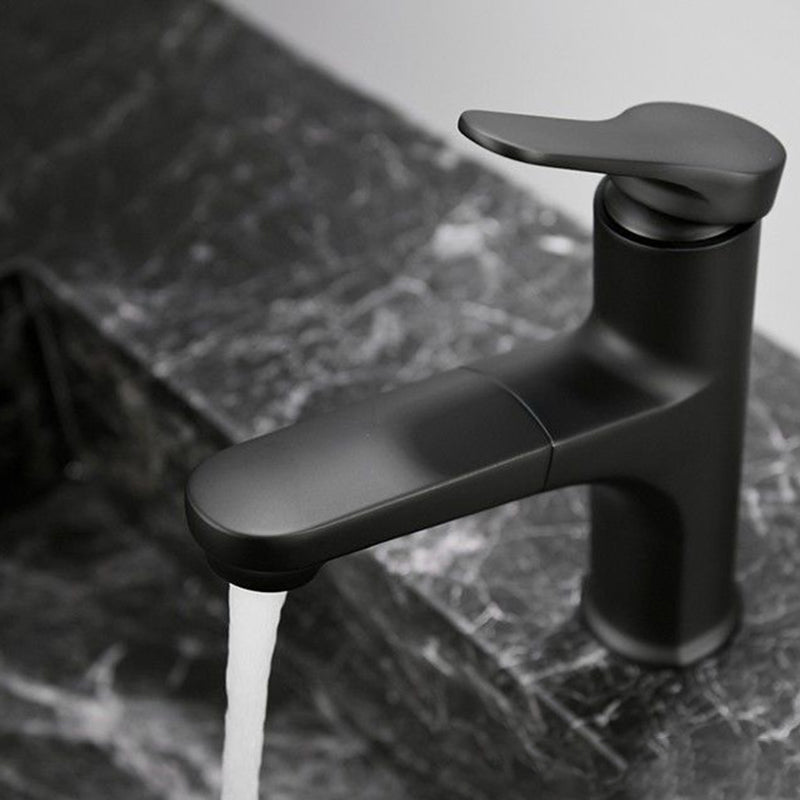 Contemporary Style Faucet Single Lever Mixer with Swivel Spout