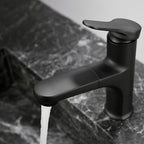 Contemporary Style Faucet Single Lever Mixer with Swivel Spout