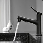 Contemporary Style Faucet Single Lever Mixer with Swivel Spout
