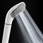 Plastic Handheld Showerhead Modern Wall Mounted Showerhead