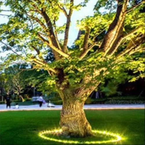 Warm White Outdoor LED Tree Uplight
