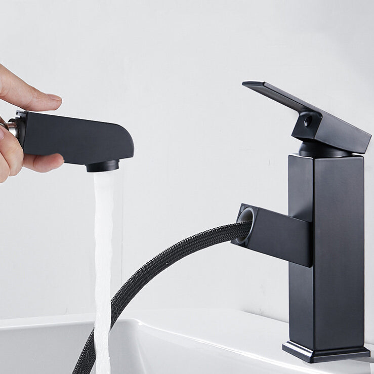 Contemporary Style Faucets Single Handle Swivel Spout Faucets