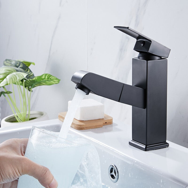 Contemporary Style Faucets Single Handle Swivel Spout Faucets