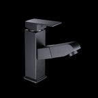 Contemporary Style Faucets Single Handle Swivel Spout Faucets