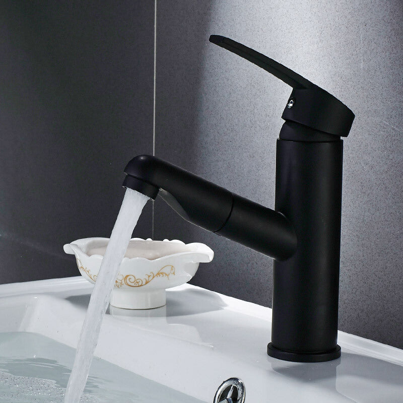 Contemporary Style Faucets Single Handle Swivel Spout Faucets