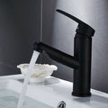 Contemporary Style Faucets Single Handle Swivel Spout Faucets