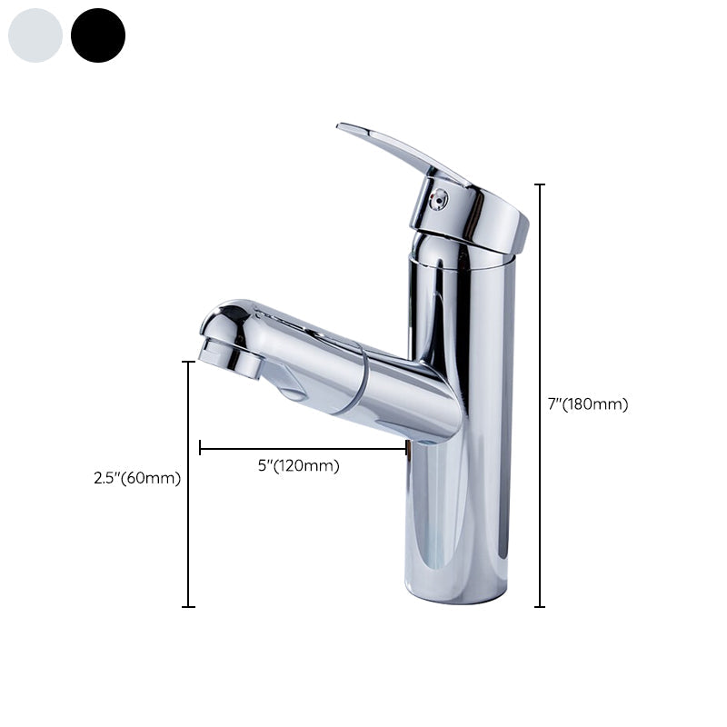 Contemporary Style Faucets Single Handle Swivel Spout Faucets