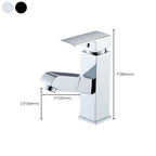 Contemporary Style Faucets Single Handle Swivel Spout Faucets