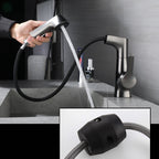 Brass Contemporary Sink Faucet Pull-Out Round Bathroom Faucet