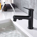 Contemporary Sink Faucet Plian Low Arc Center-Set Bathroom Faucet
