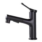 Contemporary Sink Faucet Plian Low Arc Center-Set Bathroom Faucet