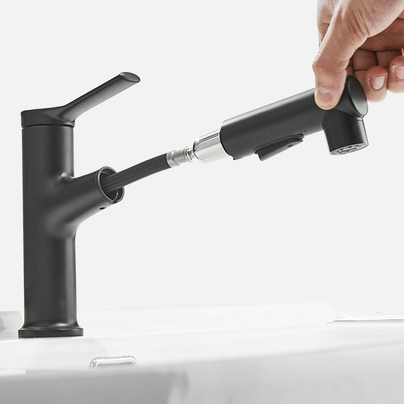 Contemporary Sink Faucet Plian Low Arc Center-Set Bathroom Faucet