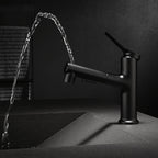 Modern Sink Faucet Copper Single Handle Low Arc Pull-Out Sink Faucet