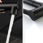 Modern Sink Faucet Copper Single Handle Low Arc Pull-Out Sink Faucet