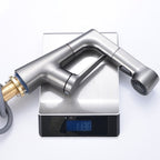 Modern Sink Faucet Copper Single Handle Low Arc Pull-Out Sink Faucet